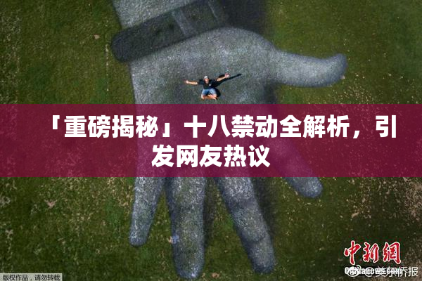 「重磅揭秘」十八禁动全解析，引发网友热议