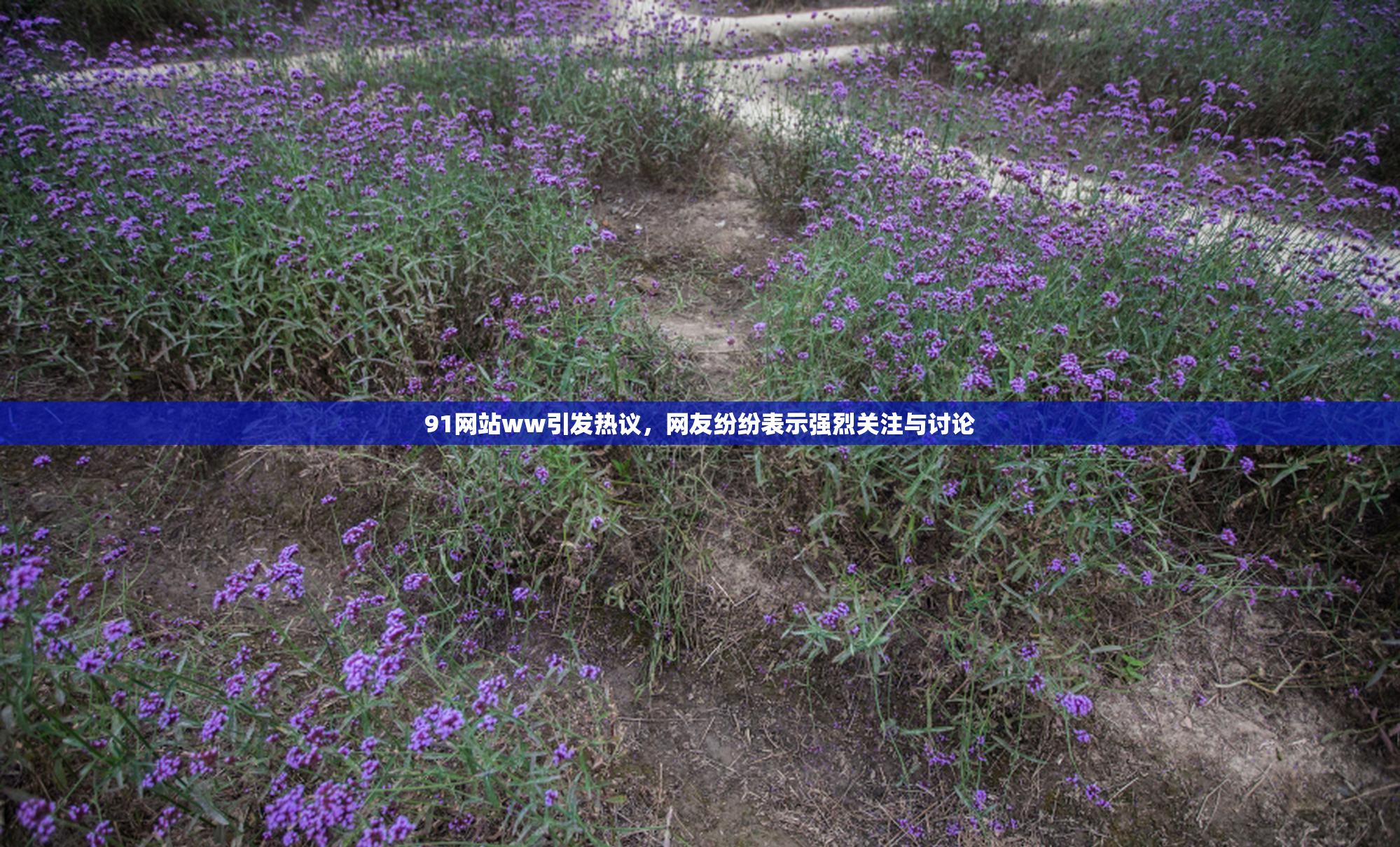 91网站ww引发热议，网友纷纷表示强烈关注与讨论