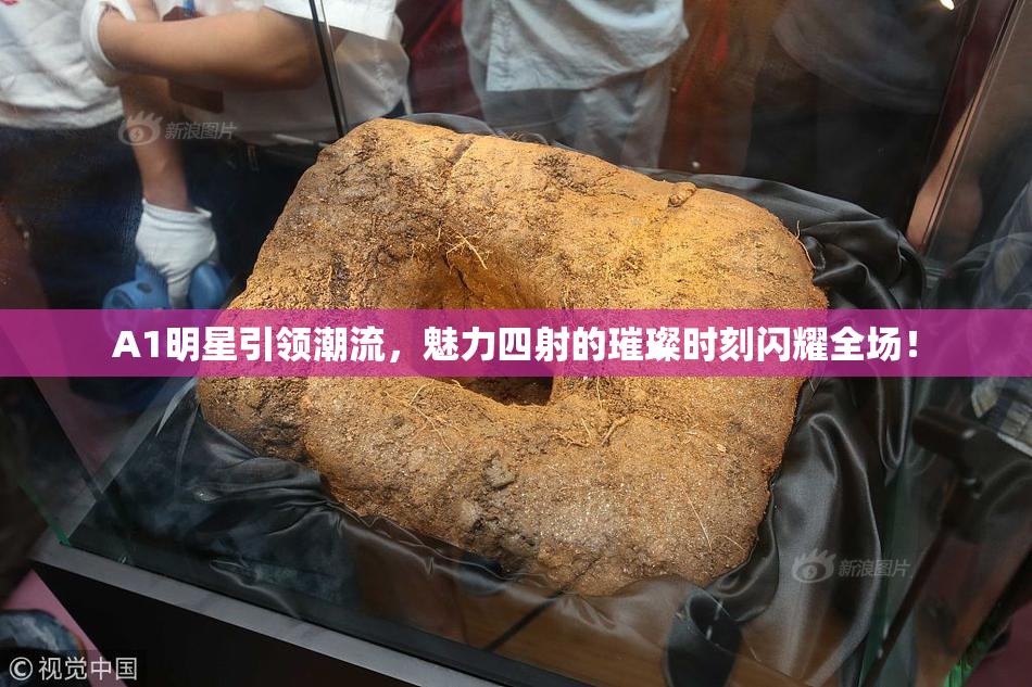 A1明星引领潮流，魅力四射的璀璨时刻闪耀全场！