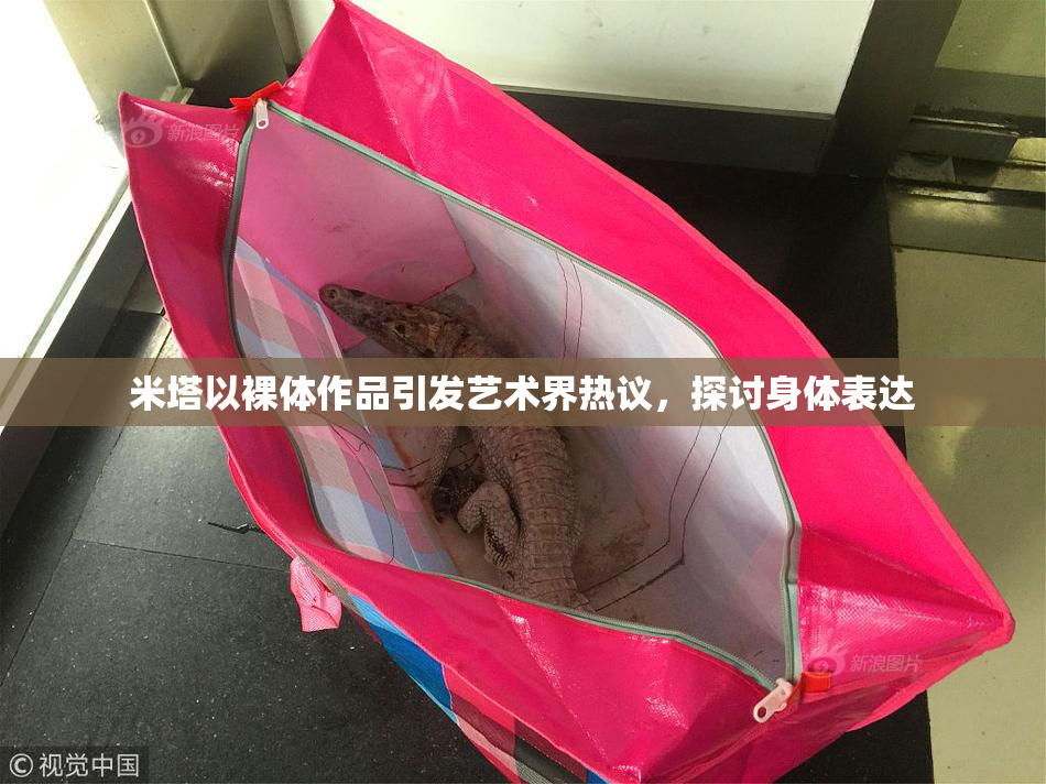 米塔以裸体作品引发艺术界热议，探讨身体表达