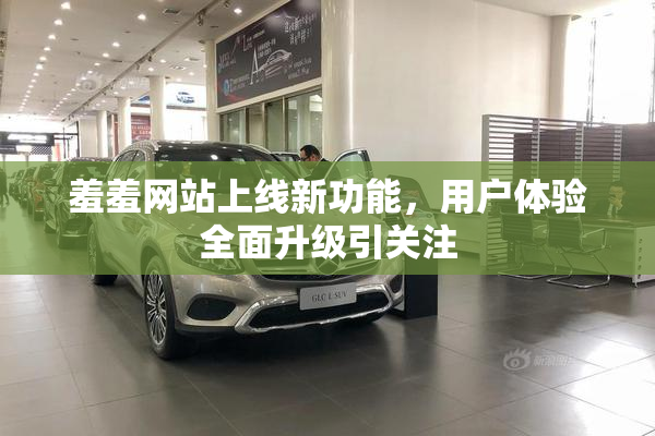 羞羞网站上线新功能，用户体验全面升级引关注