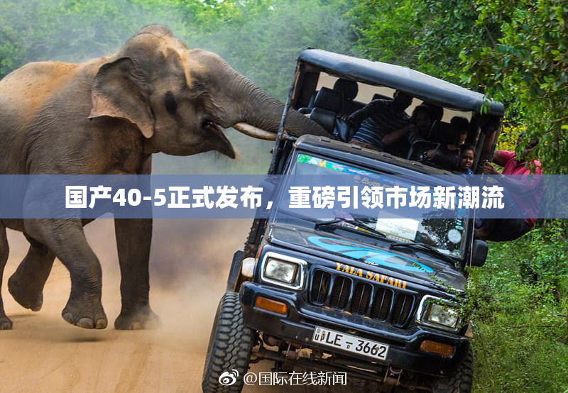 国产40-5正式发布，重磅引领市场新潮流