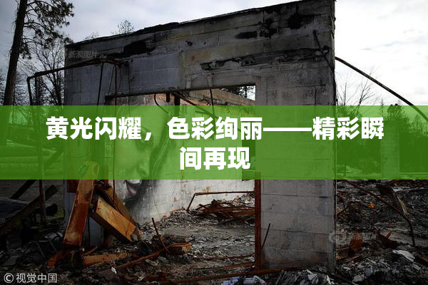 黄光闪耀，色彩绚丽——精彩瞬间再现