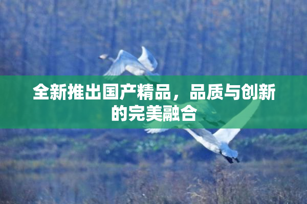 全新推出国产精品，品质与创新的完美融合