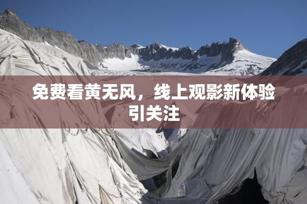 免费看黄无风，线上观影新体验引关注
