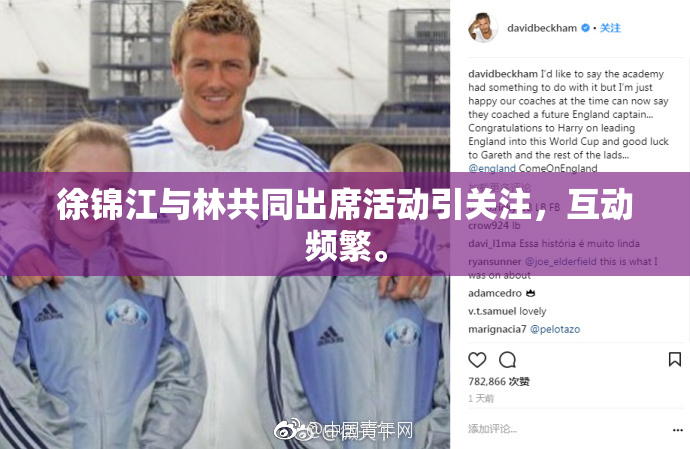 徐锦江与林共同出席活动引关注，互动频繁。