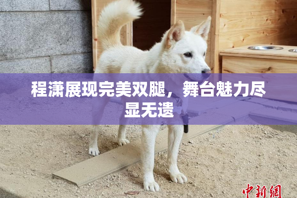 程潇展现完美双腿，舞台魅力尽显无遗