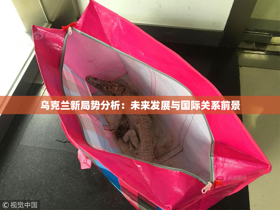 乌克兰新局势分析：未来发展与国际关系前景