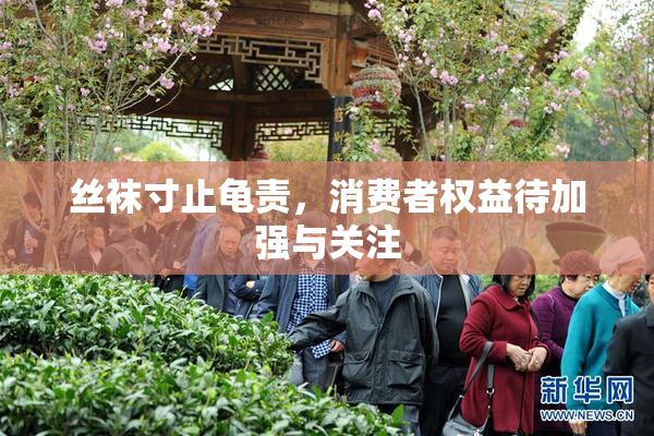 丝袜寸止龟责，消费者权益待加强与关注
