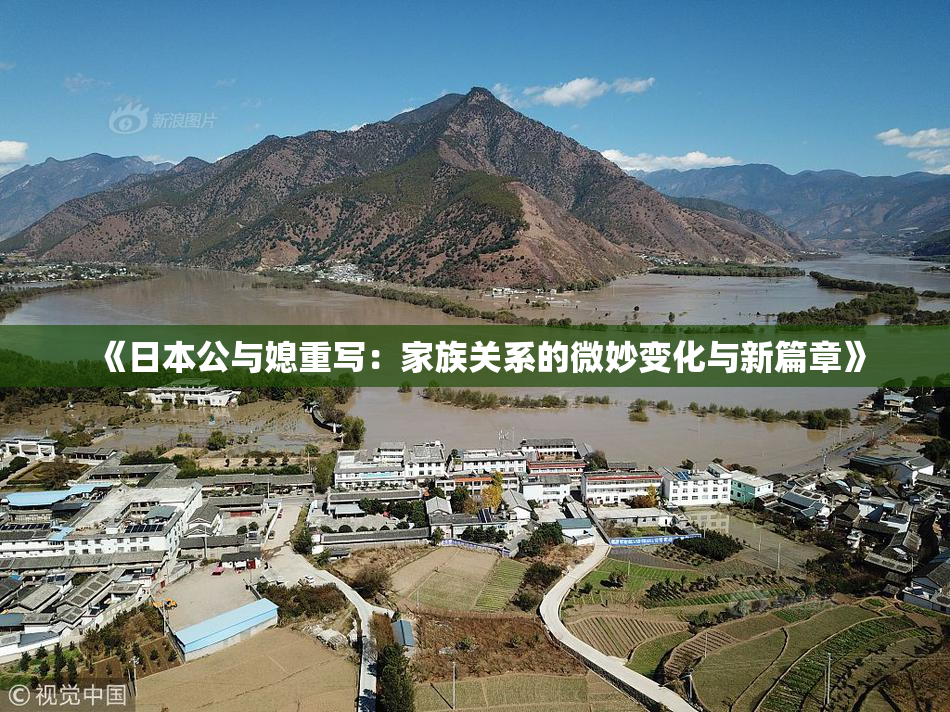 《日本公与媳重写：家族关系的微妙变化与新篇章》