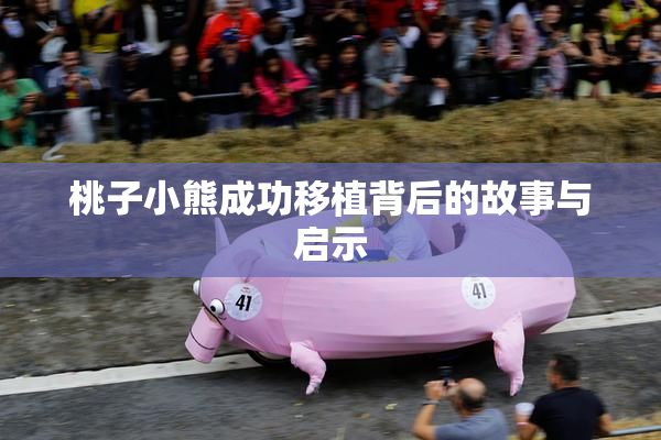 桃子小熊成功移植背后的故事与启示