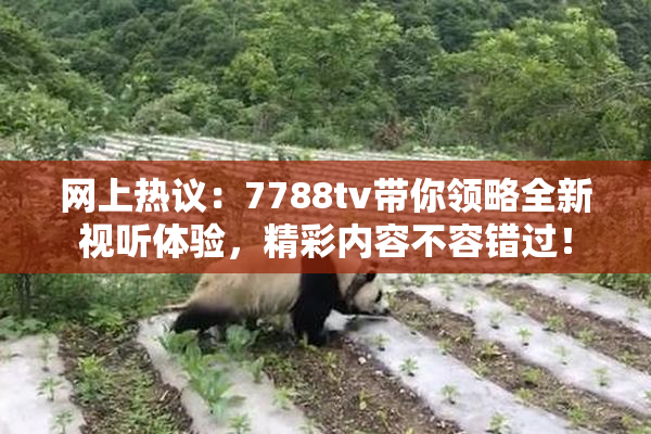 网上热议：7788tv带你领略全新视听体验，精彩内容不容错过！
