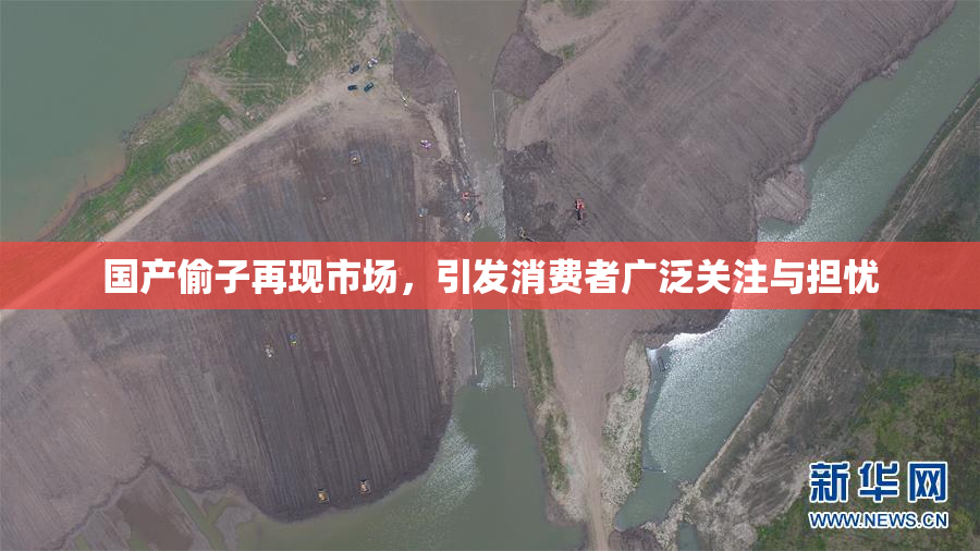 国产偷子再现市场，引发消费者广泛关注与担忧