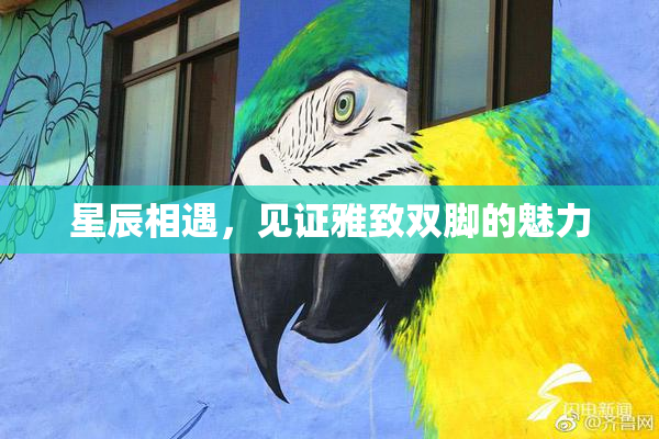 星辰相遇，见证雅致双脚的魅力
