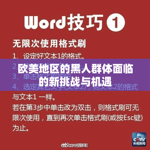 欧美地区的黑人群体面临的新挑战与机遇