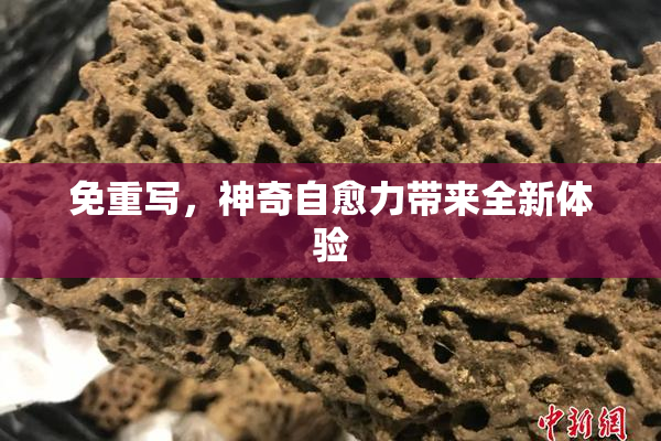 免重写，神奇自愈力带来全新体验