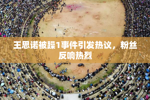 王思诺被躁1事件引发热议，粉丝反响热烈