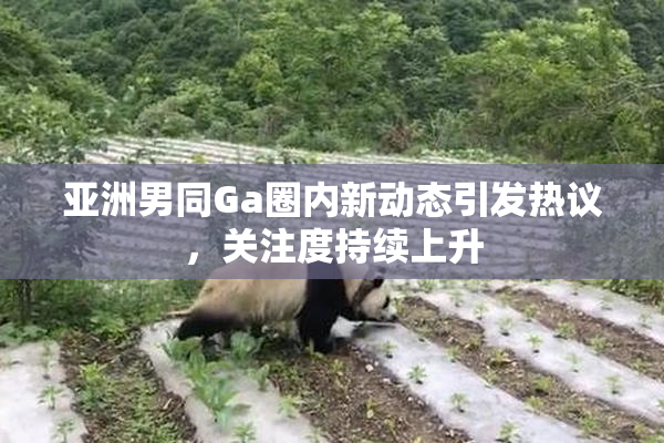 亚洲男同Ga圈内新动态引发热议，关注度持续上升