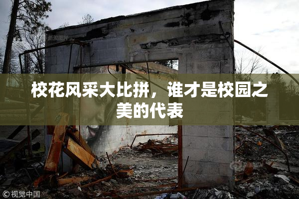 校花风采大比拼，谁才是校园之美的代表
