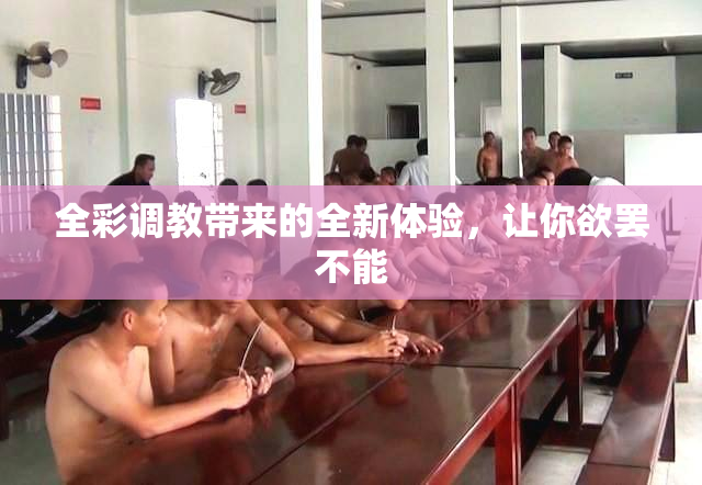 全彩调教带来的全新体验，让你欲罢不能