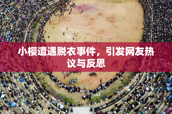 小樱遭遇脱衣事件，引发网友热议与反思