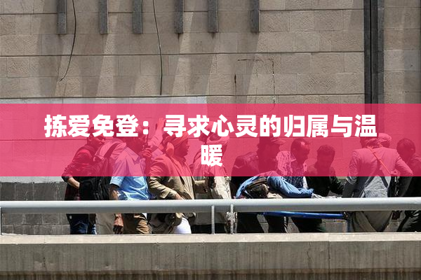 拣爱免登：寻求心灵的归属与温暖