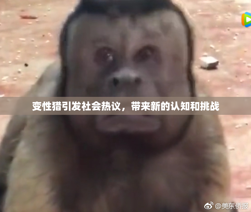 变性猎引发社会热议，带来新的认知和挑战