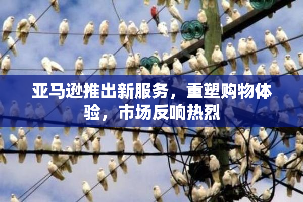 亚马逊推出新服务，重塑购物体验，市场反响热烈