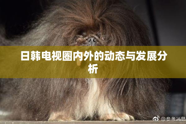 日韩电视圈内外的动态与发展分析