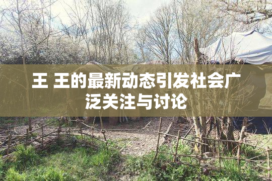 王 王的最新动态引发社会广泛关注与讨论