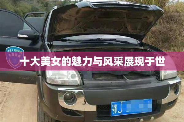 十大美女的魅力与风采展现于世
