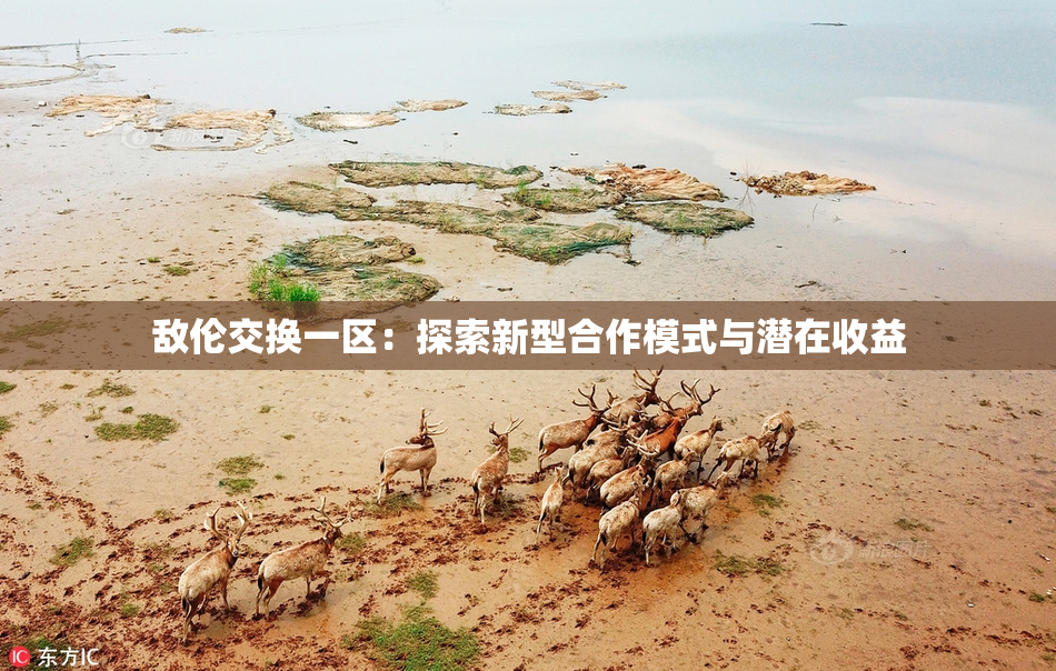 敌伦交换一区：探索新型合作模式与潜在收益