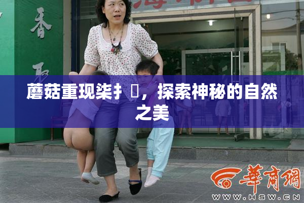 蘑菇重现柒扌畐，探索神秘的自然之美