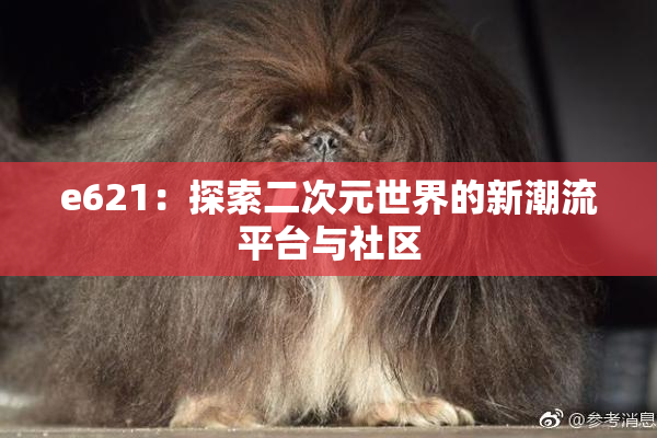 e621：探索二次元世界的新潮流平台与社区