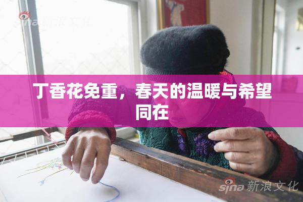 丁香花免重，春天的温暖与希望同在