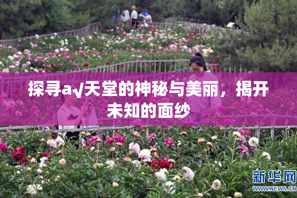 探寻а√天堂的神秘与美丽，揭开未知的面纱