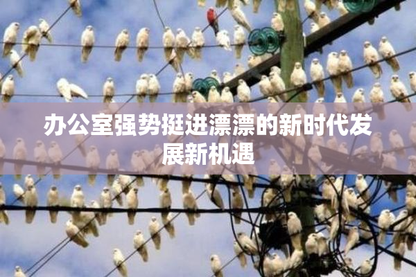 办公室强势挺进漂漂的新时代发展新机遇