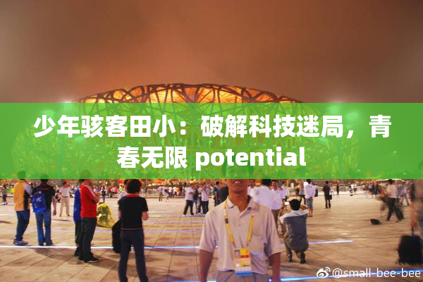 少年骇客田小：破解科技迷局，青春无限 potential