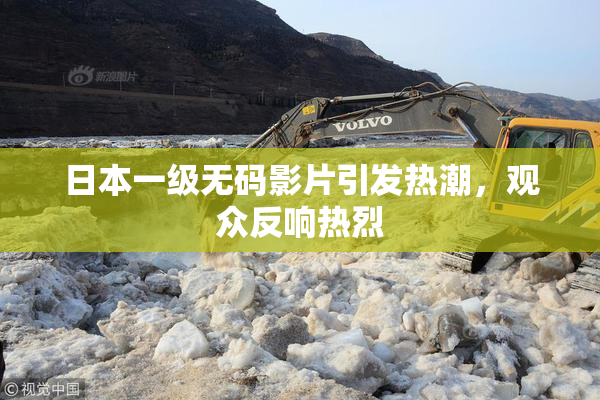 日本一级无码影片引发热潮，观众反响热烈