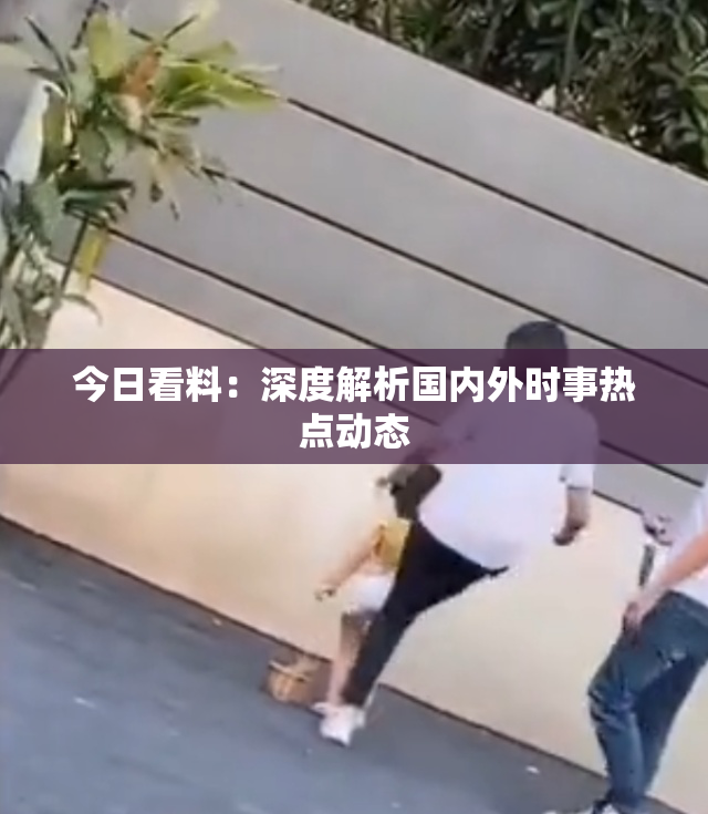 今日看料：深度解析国内外时事热点动态