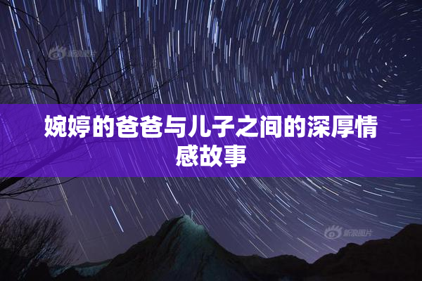 婉婷的爸爸与儿子之间的深厚情感故事