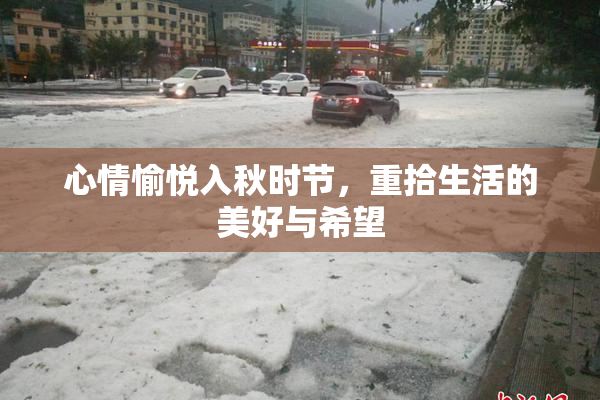 心情愉悦入秋时节，重拾生活的美好与希望