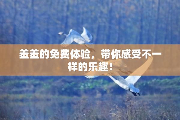 羞羞的免费体验，带你感受不一样的乐趣！