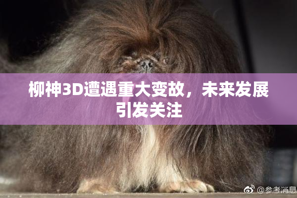 柳神3D遭遇重大变故，未来发展引发关注