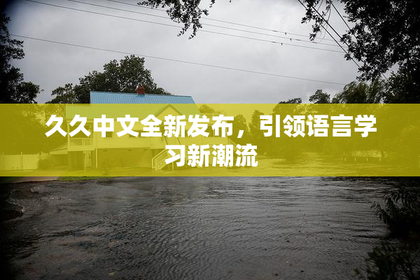 久久中文全新发布，引领语言学习新潮流