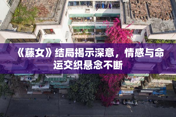 《藤女》结局揭示深意，情感与命运交织悬念不断