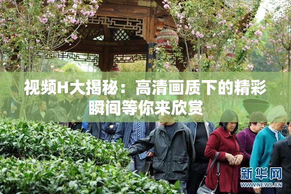 视频H大揭秘：高清画质下的精彩瞬间等你来欣赏