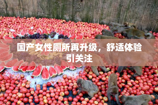 国产女性厕所再升级，舒适体验引关注