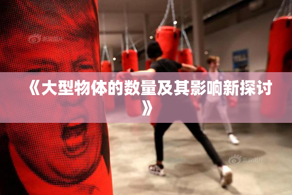 《大型物体的数量及其影响新探讨》