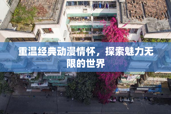 重温经典动漫情怀，探索魅力无限的世界